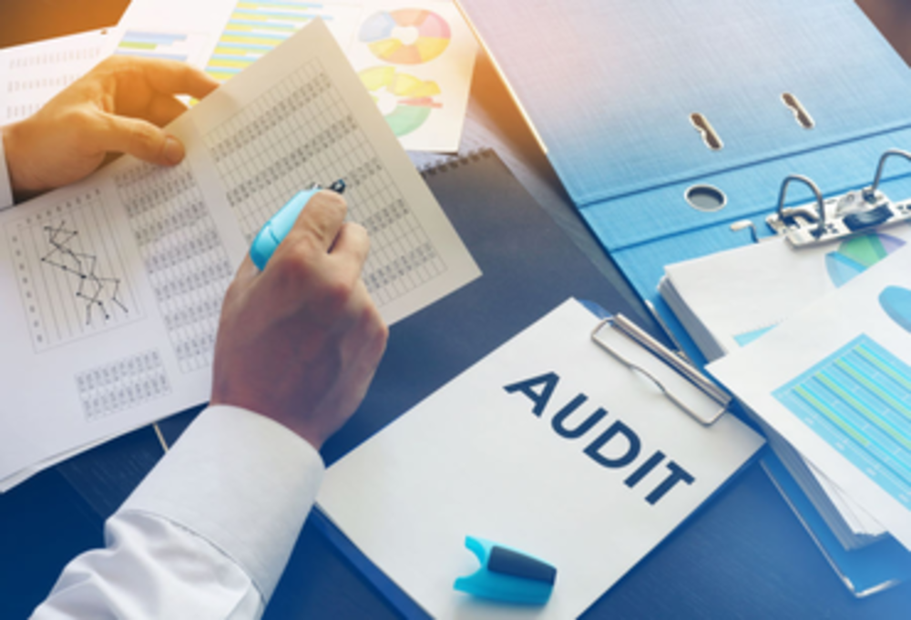 Confirmarea investițiilor de către auditor